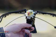 20250704_SVBB_LVKS_025