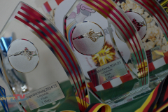 HSTV_Intro-2.00_06_45_16.Standbild010