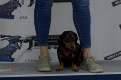 HSTV_Intro-2.00_03_08_20.Standbild006